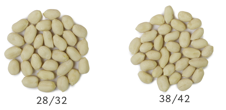 0-peanuts-blanched-01-productos-cotagro-web