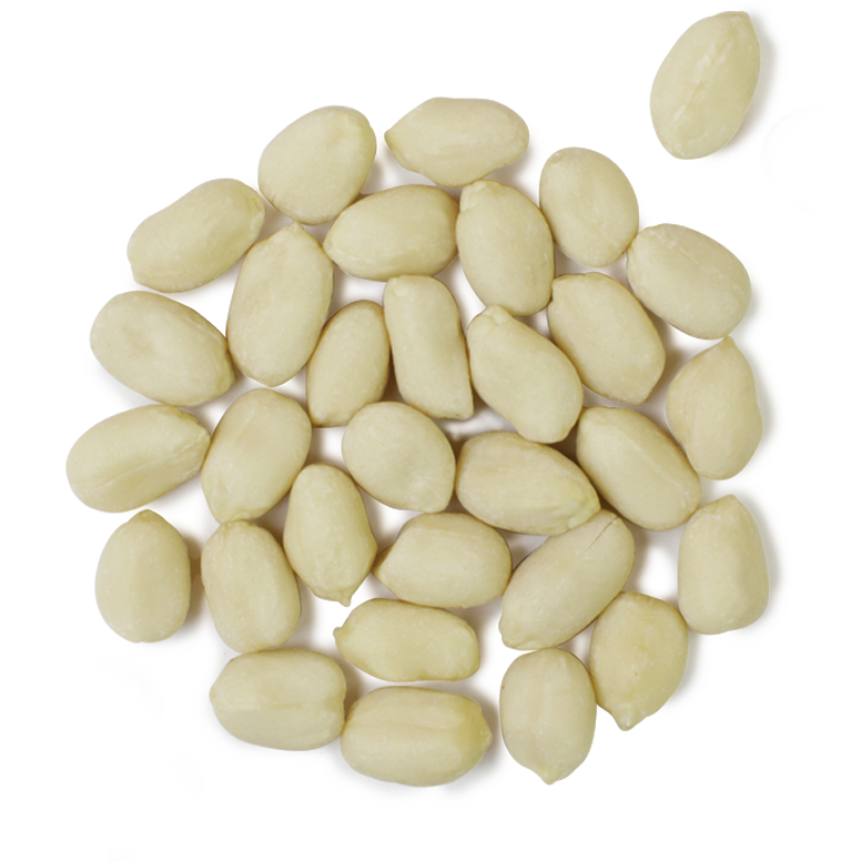 peanuts-blanched-productos-cotagro-web