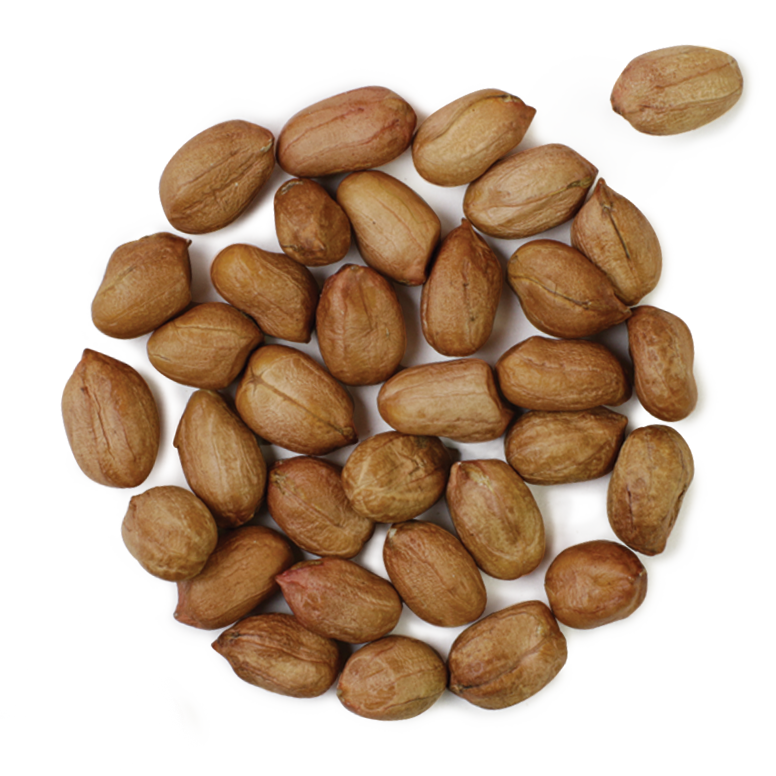 peanuts-raw-productos-cotagro-web